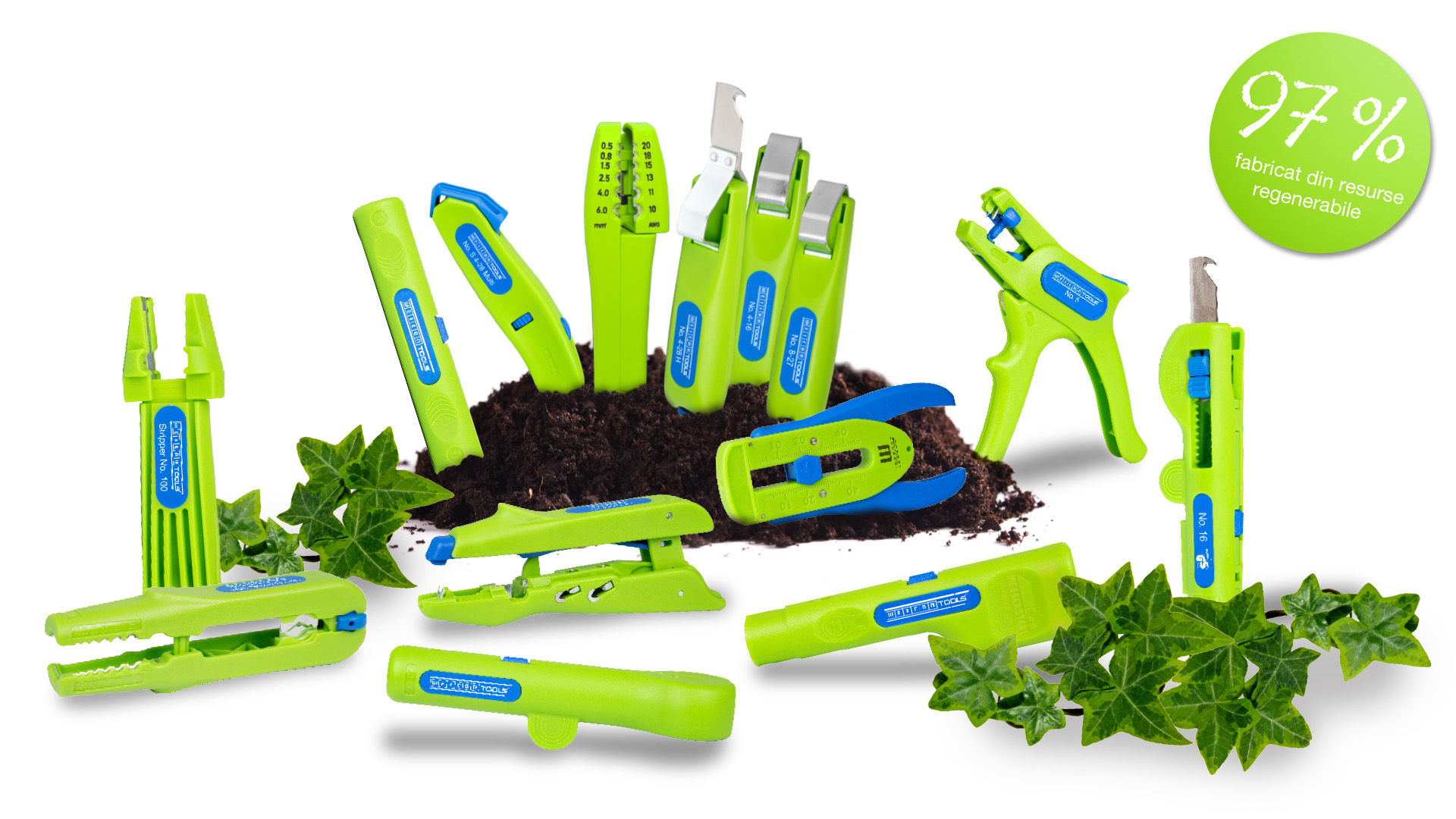 Animated markings image Animated markings image